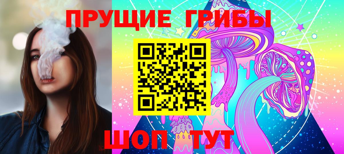Псилоцибиновые грибы мицелий Новотроицк